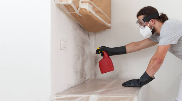 Professional Basement Mold Removal technician working in Withams, VA