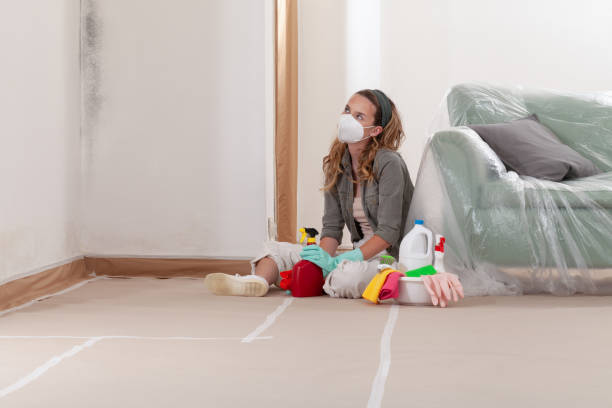 Reliable Basement Mold Removal contractor in Withams, VA by WQB Mold Removal